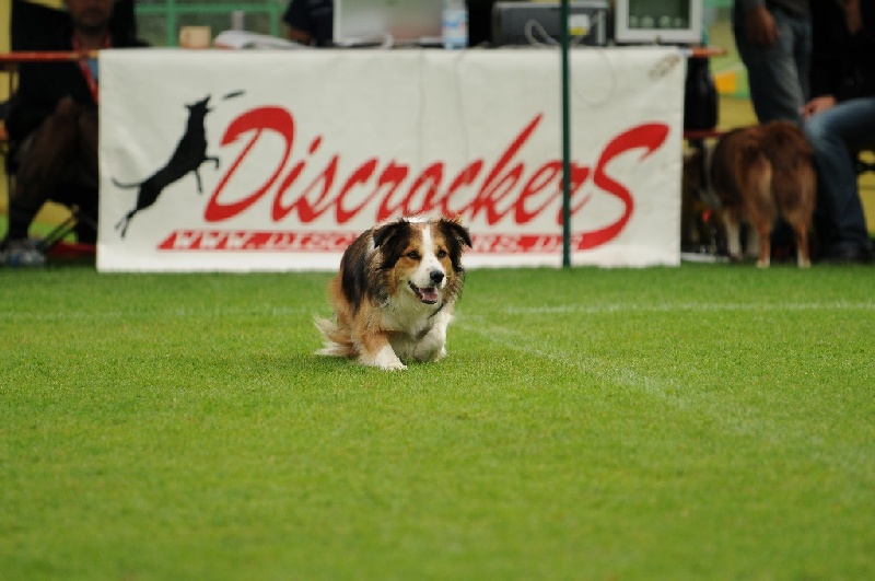 Image 767 of 855  -  197 kB