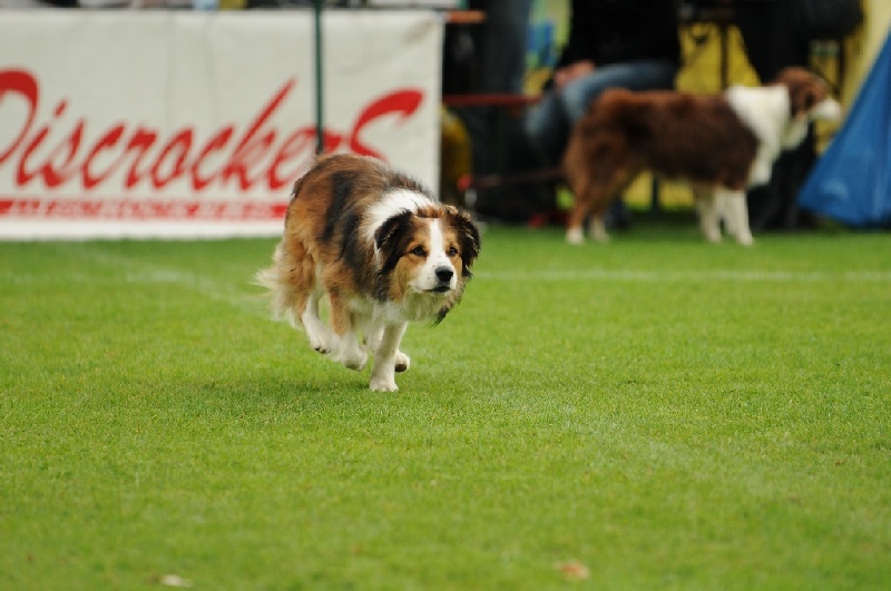 Image 768 of 855  -  197 kB