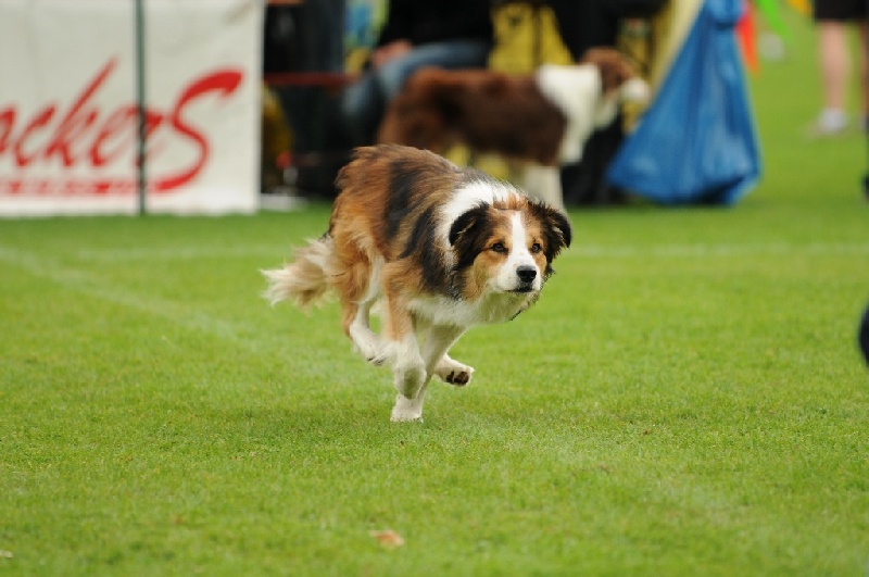 Image 769 of 855  -  192 kB