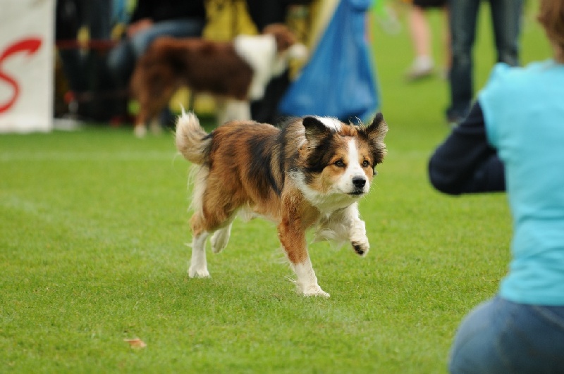 Image 770 of 855  -  190 kB