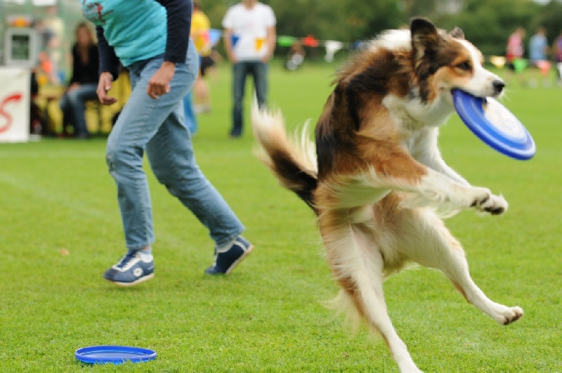 Image 771 of 855  -  206 kB