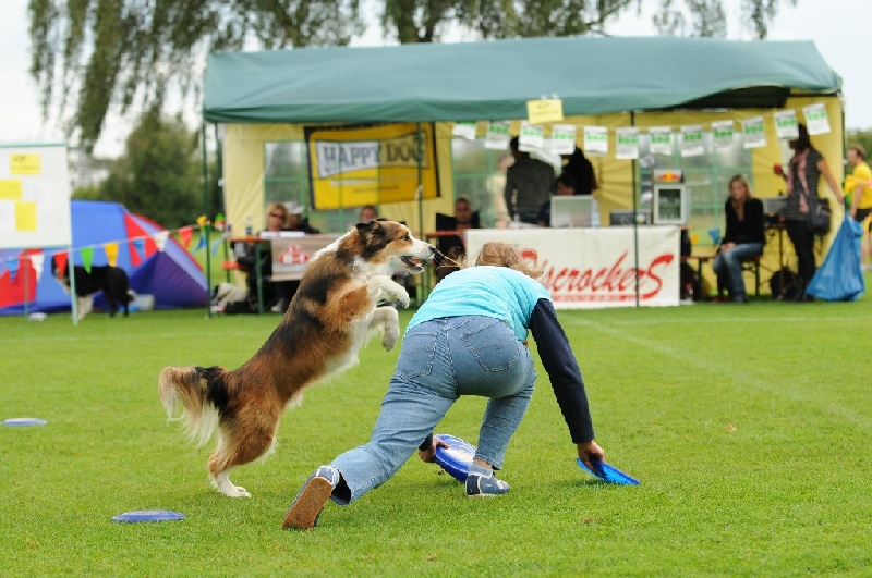 Image 772 of 855  -  247 kB