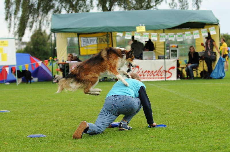 Image 773 of 855  -  249 kB