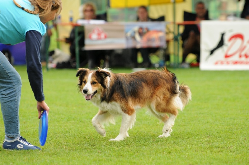 Image 774 of 855  -  221 kB