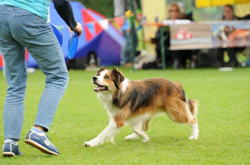 Image 775 of 855  -  216 kB