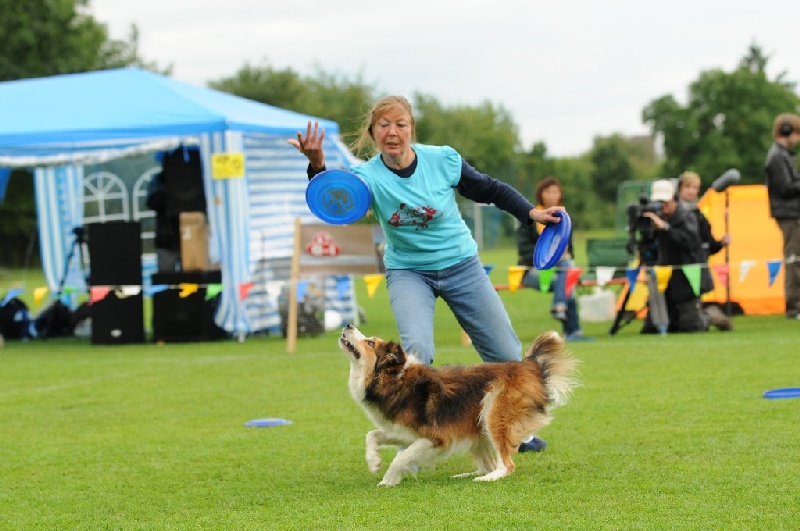 Image 776 of 855  -  211 kB