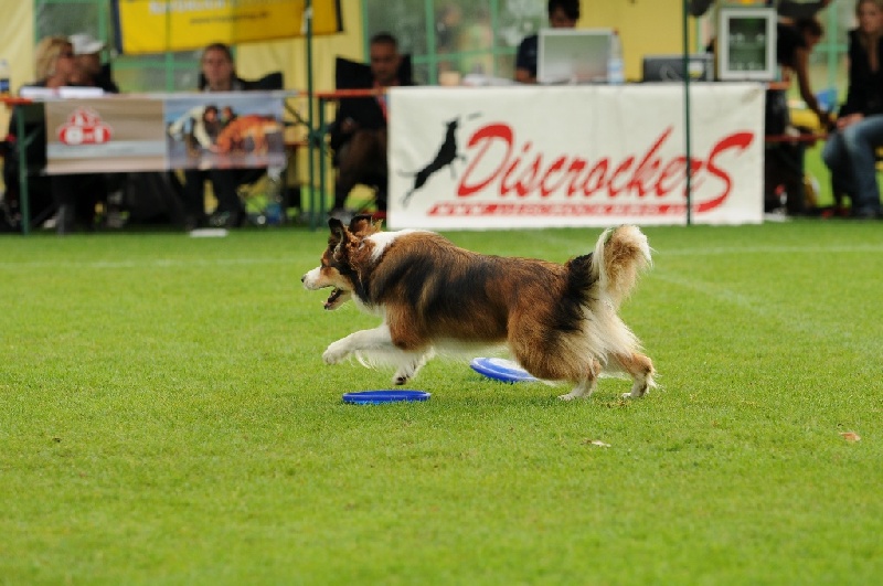 Image 777 of 855  -  219 kB