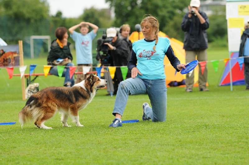 Image 778 of 855  -  235 kB