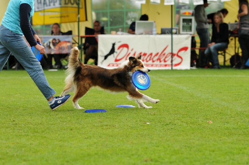 Image 780 of 855  -  226 kB