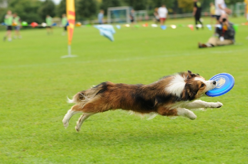 Image 782 of 855  -  186 kB