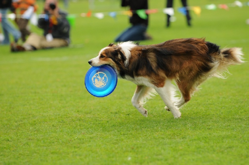 Image 783 of 855  -  193 kB