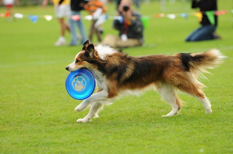 Image 784 of 855  -  196 kB