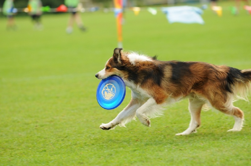 Image 785 of 855  -  176 kB