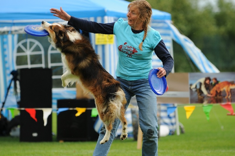 Image 786 of 855  -  209 kB