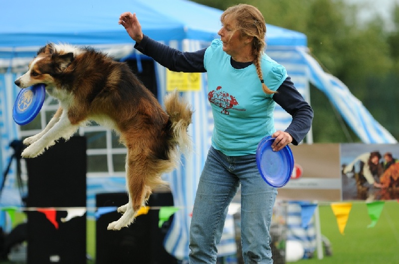 Image 787 of 855  -  209 kB