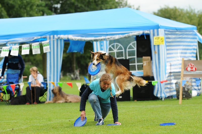 Image 788 of 855  -  229 kB