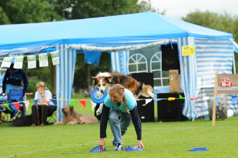 Image 789 of 855  -  224 kB