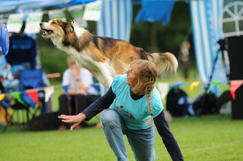 Image 790 of 855  -  196 kB