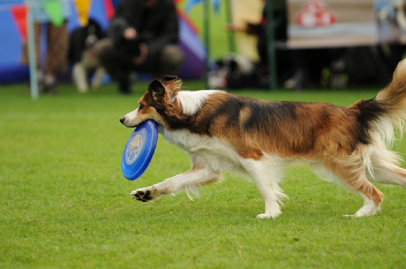 Image 791 of 855  -  199 kB