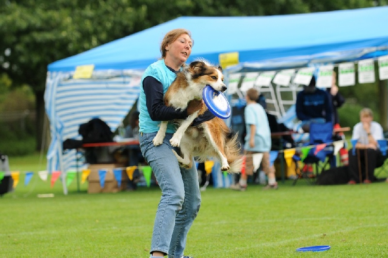 Image 792 of 855  -  210 kB