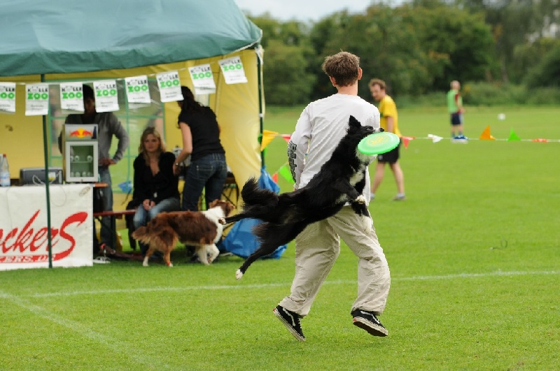 Image 796 of 855  -  227 kB