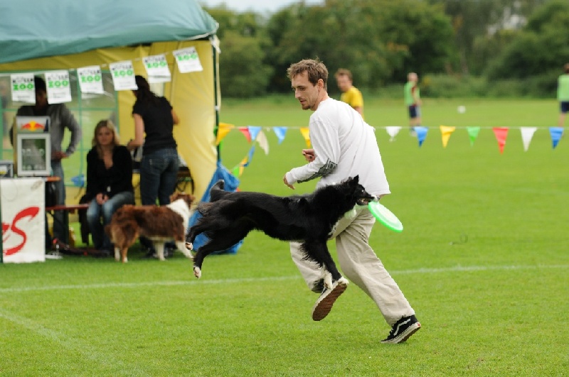 Image 797 of 855  -  212 kB