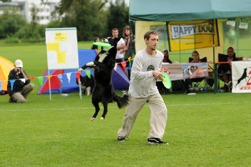 Image 799 of 855  -  244 kB