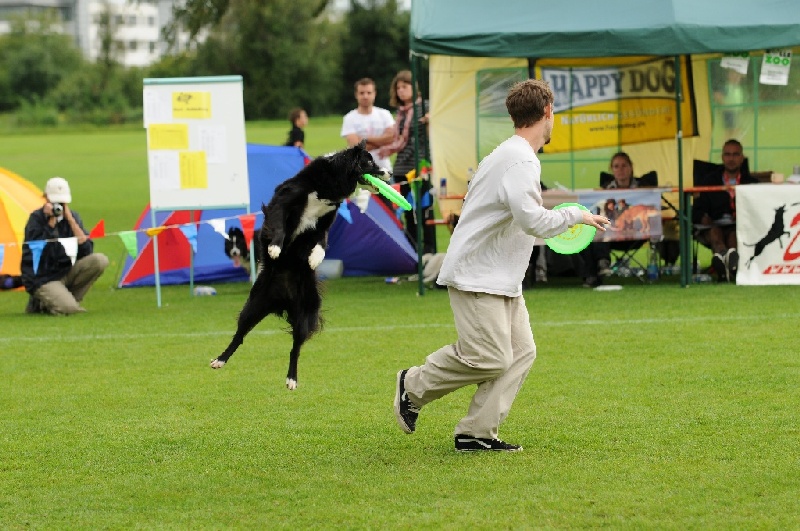 Image 800 of 855  -  246 kB