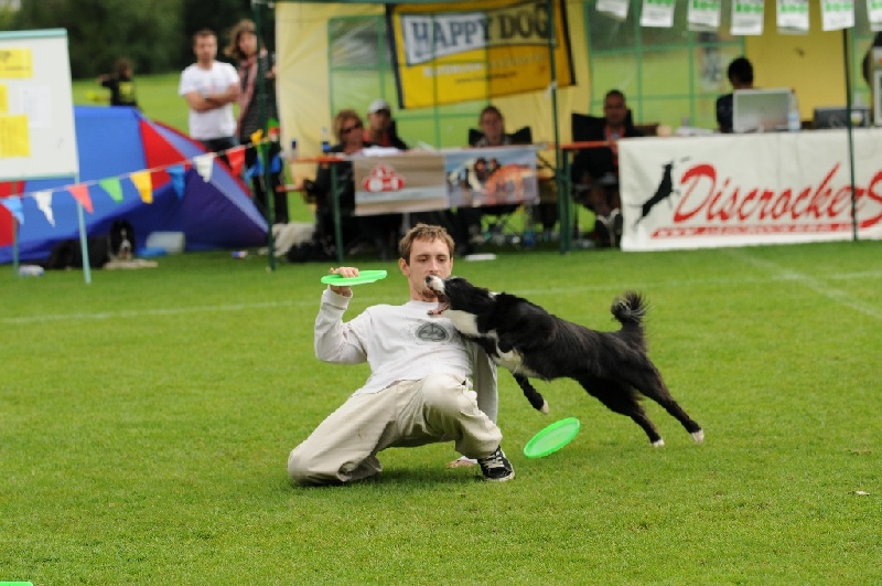 Image 801 of 855  -  234 kB