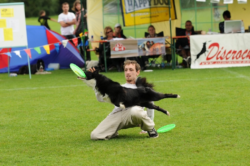 Image 802 of 855  -  241 kB