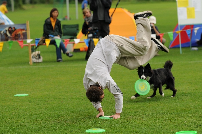 Image 803 of 855  -  229 kB