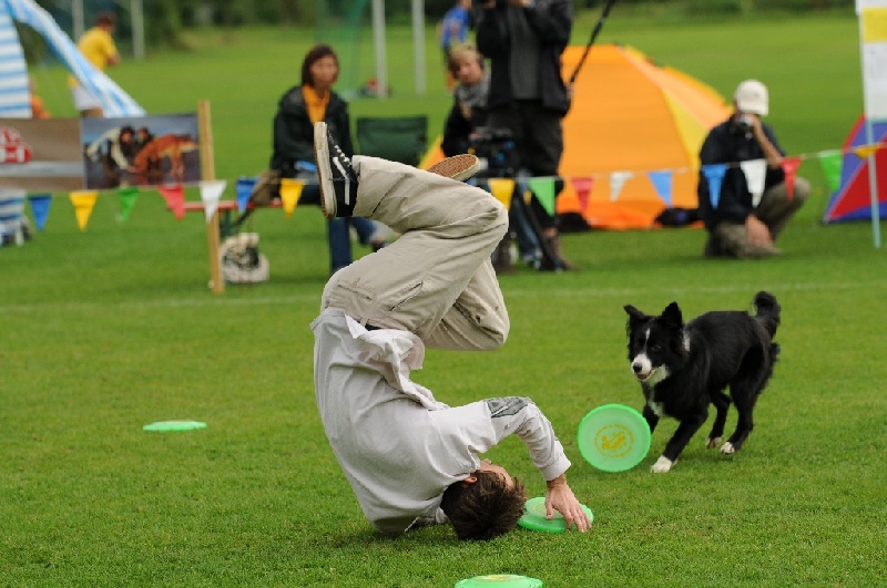 Image 804 of 855  -  223 kB