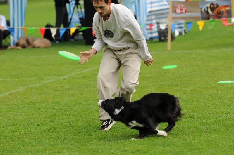 Image 805 of 855  -  224 kB