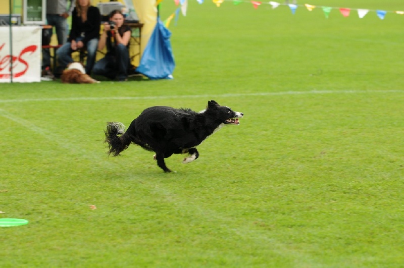 Image 806 of 855  -  188 kB