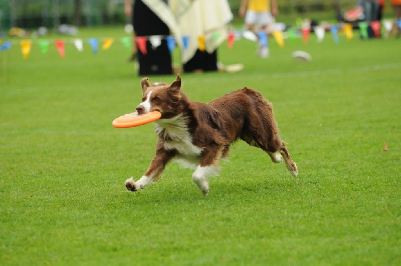 Image 808 of 855  -  200 kB