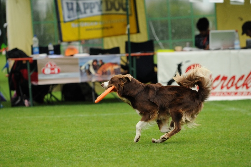 Image 809 of 855  -  203 kB