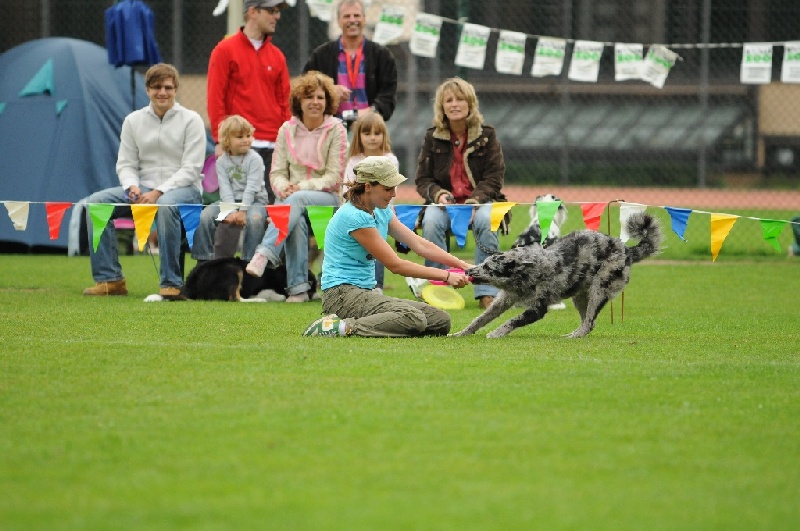 Image 810 of 855  -  224 kB