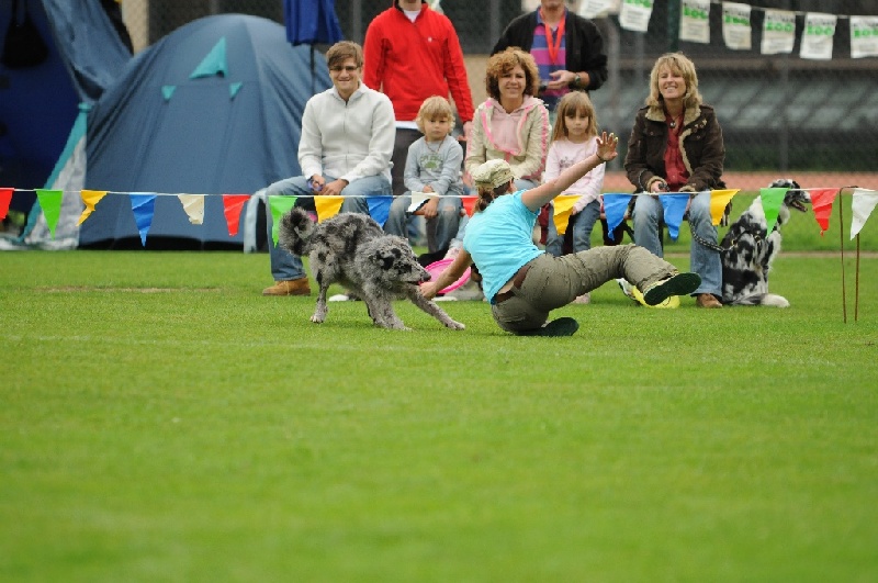 Image 811 of 855  -  221 kB