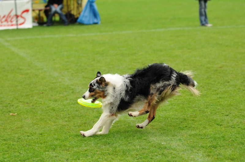 Image 813 of 855  -  214 kB