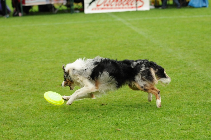 Image 814 of 855  -  217 kB