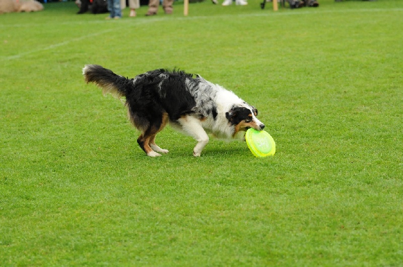 Image 815 of 855  -  241 kB