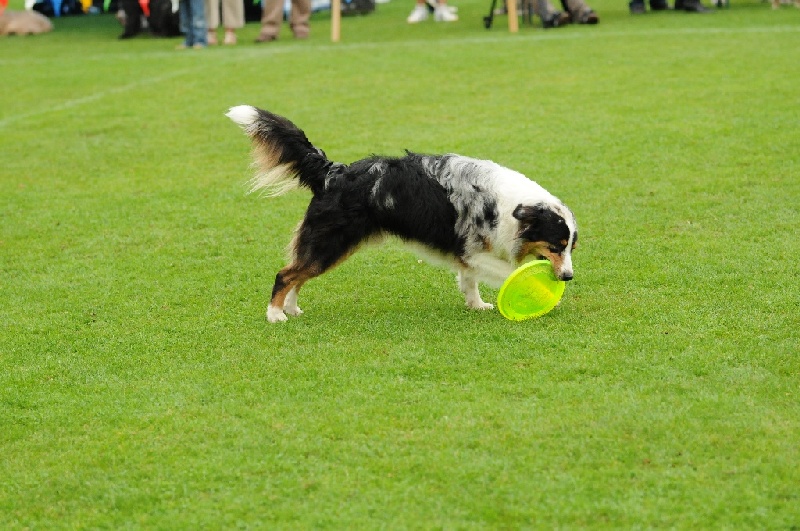 Image 816 of 855  -  243 kB