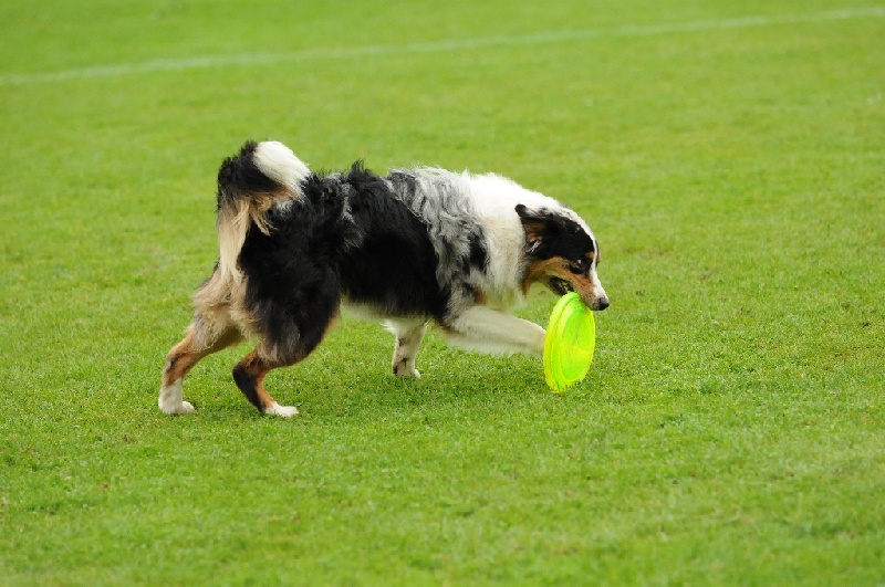 Image 818 of 855  -  224 kB