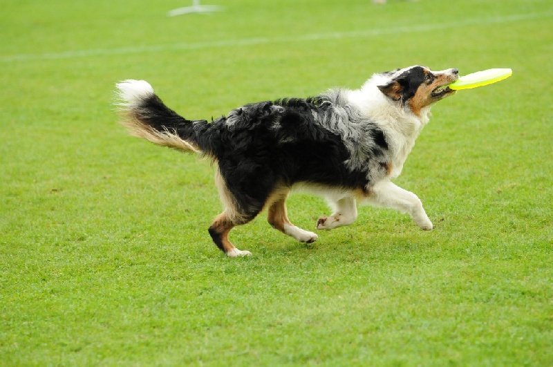 Image 819 of 855  -  221 kB