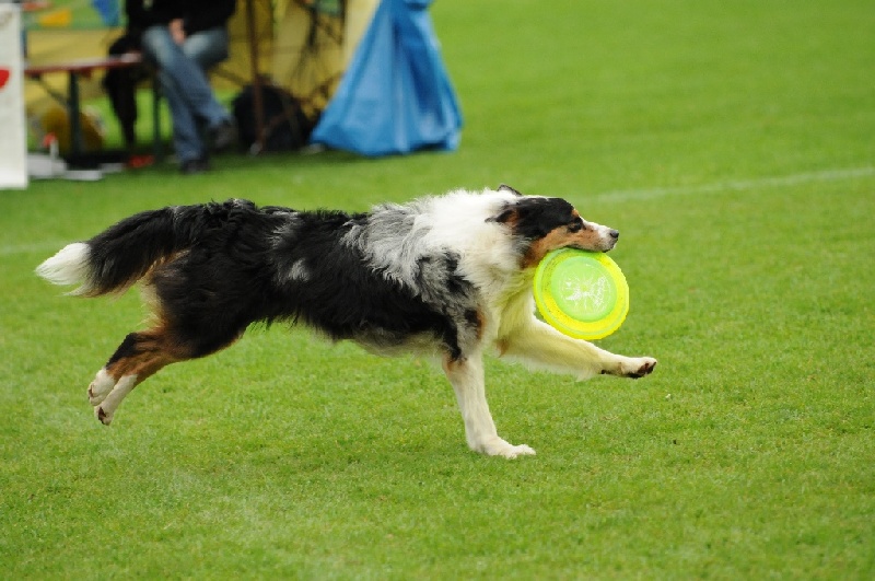 Image 820 of 855  -  218 kB