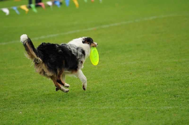 Image 821 of 855  -  204 kB