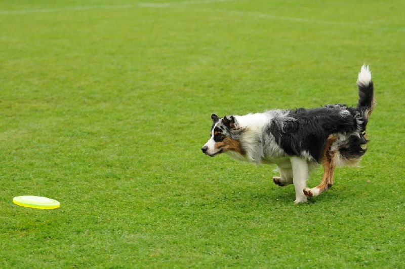 Image 822 of 855  -  225 kB