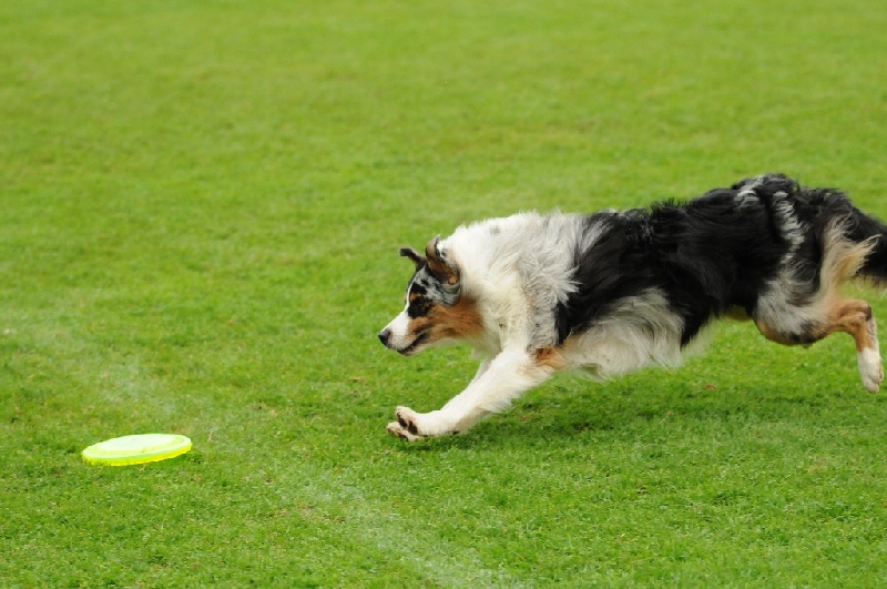 Image 823 of 855  -  225 kB