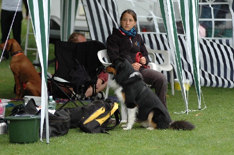 Image 827 of 855  -  245 kB