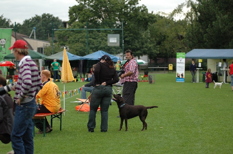 Image 830 of 855  -  243 kB